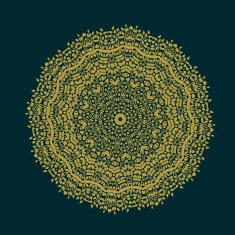 Abstract circles pattern with leaf and floral concept N2
