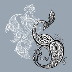 Peacock Decorative Vector illustration N4
