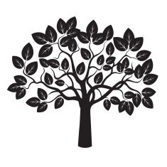 Black Tree and Big Leafs