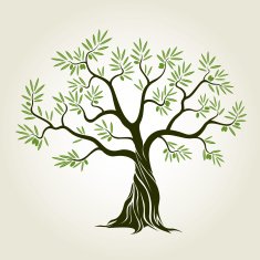 Vector Color Olive Tree with green leafs