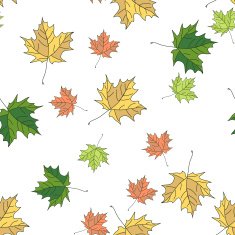 Seamless pattern of autumn