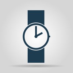 Wristwatch icon N13