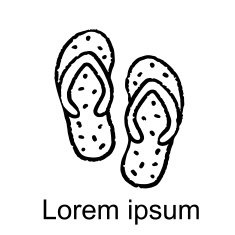 Flip Flop Sandals N3