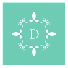 symmetric monogram N3