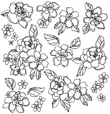 flower material N65