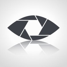 Shutter eye conceptual flat abstract vector icon N8