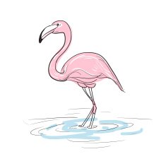 Flamingo N4
