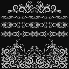 Decorative frames wreath natural pattern black and white background Birds