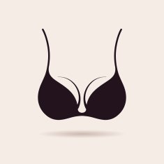 Bra icon logo Vector illustration Vintage label design