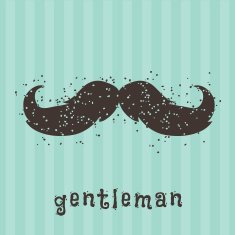 Mustache N8