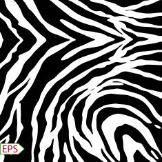 Vector zebra background with black stripes N3