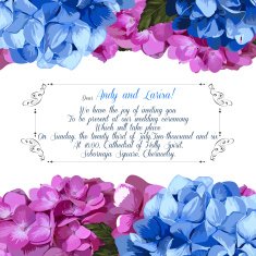 Wedding invitation with hydrangea for your design Vector N2