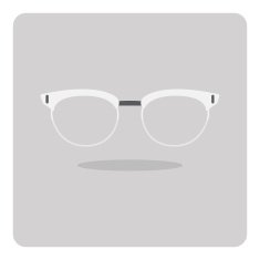 Vector of flat icon glasses N4