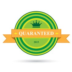 Vintage badges and labels on white background N4