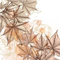 Autumn floral background with maple leafs