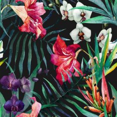 tropical pattern N10