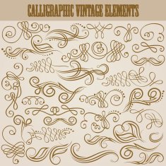Vector set of floral elements N6