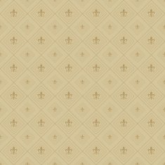 Vintage Pattern Wallpaper for Your Design Brown N16