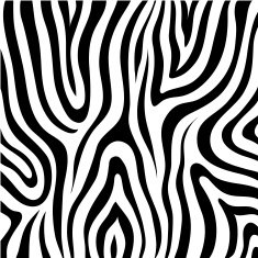 vector zebra texture N4