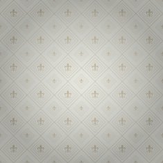 Wallpaper Background Silver N48