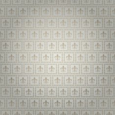 Wallpaper Background Silver N50