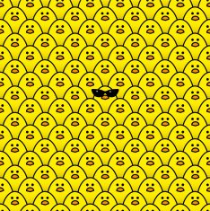 Cool Yellow Chick in Ladies Style Sunglasses surrounded by