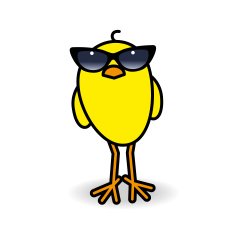 Yellow Chick Wearing Ladies Black Sunglasses Staring forward