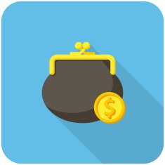 Purse and coin icon N2