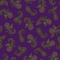 Paisley pattern N260