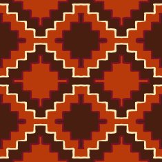Vector navajo tribal ornament N21
