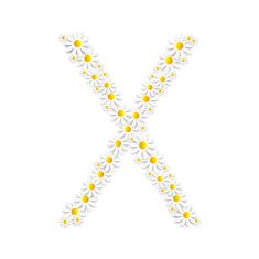 Flora Daisy Design Alphabet Vector Illustartion N51