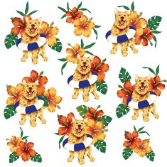 Hibiscus dog N7