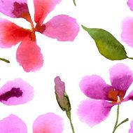 Illustration with orchid N2