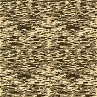 Camoliner