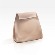 Empty Shopping Bag on White Background N2