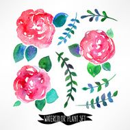 Watercolor leaves and flowers - 2