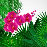 Floral design background Orchid flowers N2