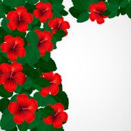 Floral design background Hibiscus flowers