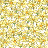 Floral Pattern N336