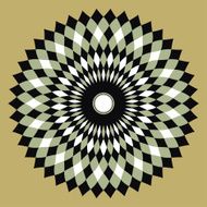 Decorative rosettes N2