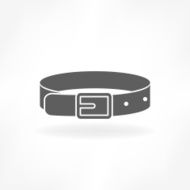 Belt Icon N4