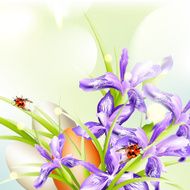 Easter greeting background with eggs and ladybugs flowers