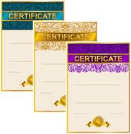 Elegant template of certificate diploma N16