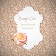 Beautiful Floral Cards with Realistic Rose Flowers Vector Illus N13
