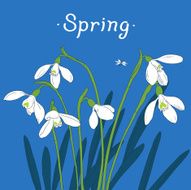 Snowdrops spring bouquet Hand-drawn vector illustration Card invitation template N2