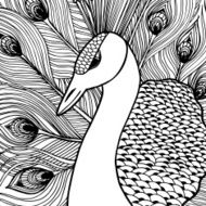 Decorative ornamental peacock Doolle style N2