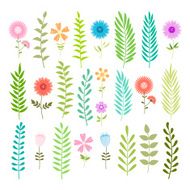 Background with leaves and flowers