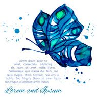 Watercolor Butterfly N2