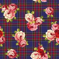 Pattern of rose N18