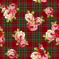Pattern of rose N19